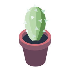 Сactus in a pot illustration