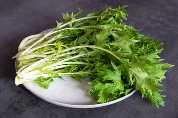 Mizuna or Kyona (Japanese water vegetable) on dish isolated on gray background.