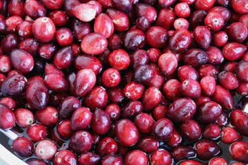 Fresh cranberries in a colander with water for making homemade cranberry sauce or relish with. Overhead top view.