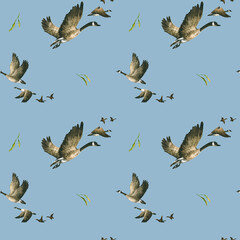 Seamless pattern with watercolor wild geese, green leaves. Hand drawn illustration is on the blue. Flying wedge of birds is perfect for natural design, eco print, fabric textile, autumn wallpaper