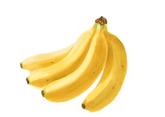 水彩のバナナ01_1