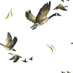 Seamless pattern with watercolor wild geese and green leaves. Hand drawn illustration is isolated. Flying wedge of birds is perfect for natural design, eco print, fabric textile, autumn background © Vola Tsiukhai
