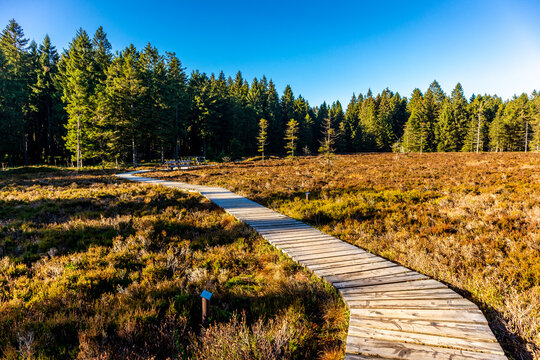 Kleine Herbstwanderung durch den Wintersportort Oberhof am Rennsteig - Th&uuml;ringen - Deutschland