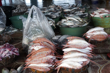 Fresh fish being sold in the traditional fish market