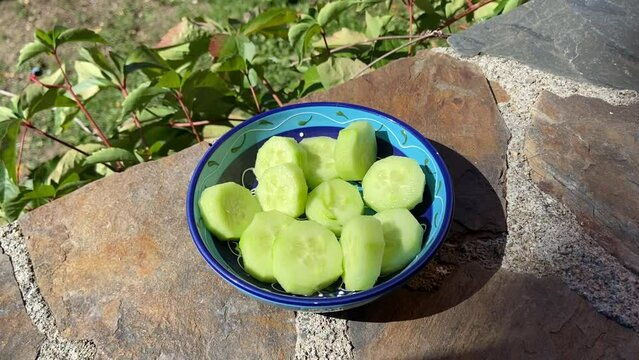 Concombre en morceaux dans un bol