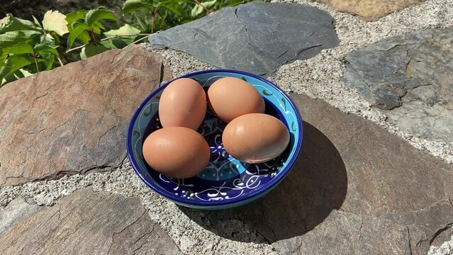 Oeufs frais dans un bol