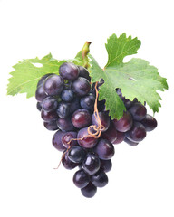 Bunch of grapes isolated on white