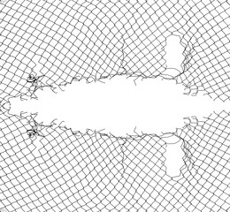 Opening in metallic fence isolated on white background . Challenge. uncertainty. breakthrough concept. metaphor. Chain-link, wire netting, wire-mesh, cyclone hurricane fence. face with eyes.