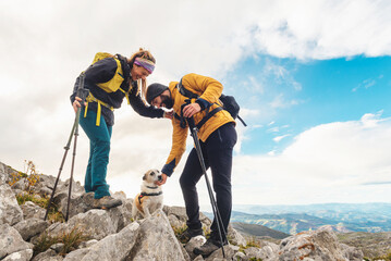 couple of happy hikers equipped with backpacks and trekking sticks play with their dog after...