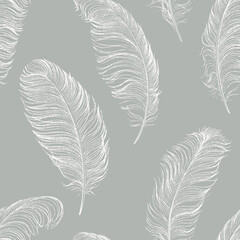 Seamless pattern of ostrich feathers hand-drawn. - obrazy, fototapety, plakaty