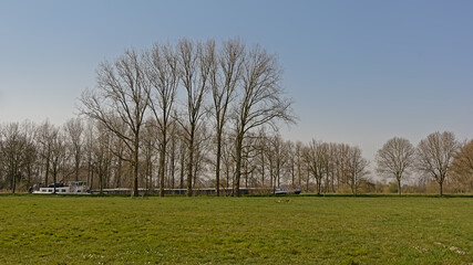 Meadow with trees on a sunny spring day in Scheldt valley nature reserve, Ghent, Flanders, Belgium 