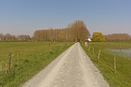 Dirt road in a sunny winter landscape with bare trees in a meadow in the flemish countryside