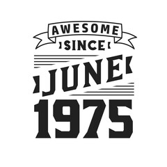 Awesome Since June 1975. Born in June 1975 Retro Vintage Birthday