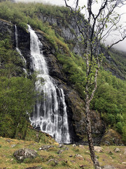 Stunning Norwegian landscape with Flåm waterfall. Scandinavian forest with green trees and mighty waterfall with nobody. Flam, Aurland Municipality, in Vestland county, Norway