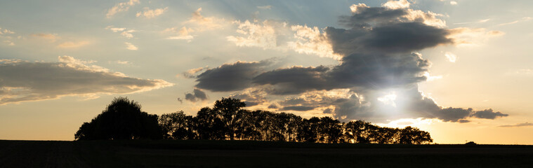 Sunset in the landscape evening with trees.
