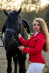 Young sexy woman standing near a horse in a red suit. Beautiful  professional female jockey standing near horse. A cute female in a red jacket and white pants. The girl caresses her favorite horse. 