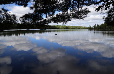Fototapeta premium One of many lakes in Kejimkujik National Park