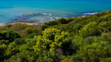 Fototapeta na wymiar Aerial view of the blue waters of the Mediterranean Sea and specifically of the Tyrrhenian Sea. Sunlight is reflected on the surface of the water. A forest is on foreground.
