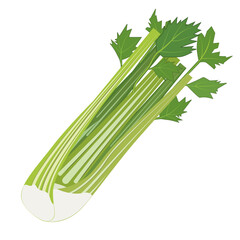 Fresh Vegetable Celery icon