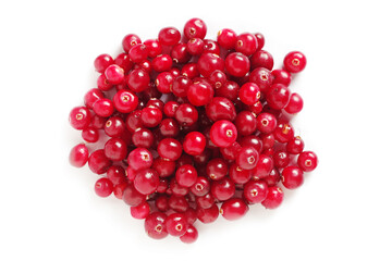 Red forest cranberry