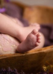Obraz na płótnie Canvas Newborn Baby Toes Photography