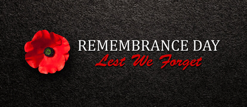 The remembrance poppy - poppy appeal. Poppy flower on black textured background. Decorative flower for Remembrance Day, Memorial Day, Anzac Day. Banner.