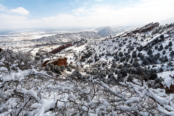 Snowy Red Rocks  - 544708520