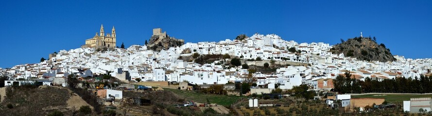 Vista panorámica de Olvera, Cádiz, Andalucía, España © BestTravelPhoto