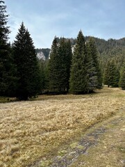 path in the mountains
