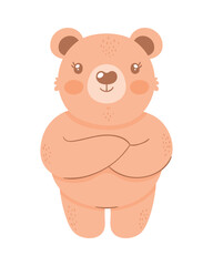 Obraz na płótnie Canvas little brown bear teddy