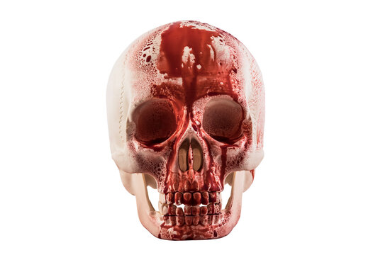 Human skull in blood isolated on white background with clipping path
