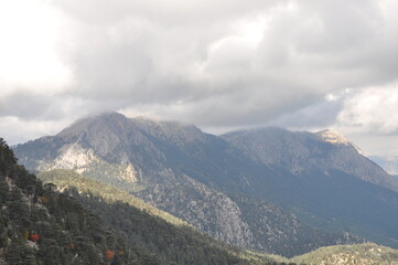 landscape in the mountains