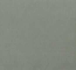 Gray skin surface texture, leather