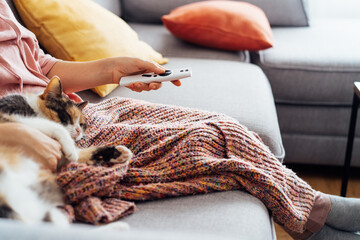No face woman with plaid selecting movie with remote controller and stroking multicolored cat pet on the sofa. Movie night party at home with sweets and hot drinks. Cozy relax time. Selective focus.