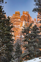 snowy trees and massive rock formations during winter in bryce canyon national park; orange rocks...