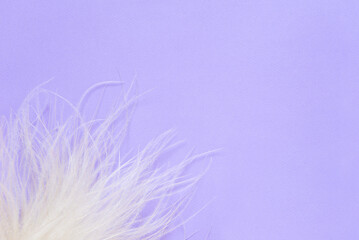 feathers on a blue background, top view. Multifunctional background.	