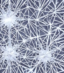 A delicate, intricately patterned snowflake rests on a black background. Its six sides are symmetrical, and each is unique. Under a microscope, the structure of the snowflake is revealed: thin branche