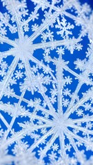 A close up of a snowflake reveals its intricate design. The six sides of the hexagon are lined with...