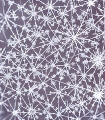 The snowflake crystal is a beautiful thing to behold. Its intricate pattern and delicate structure...