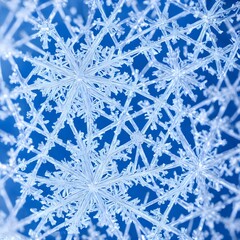 The snowflake crystal is a beautiful closeup. It's hexagonal shape is covered in delicate etchings, and its surface sparkles in the light.