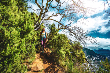 Woman hiker with backpack walking through a forest of dead trees at noon. Verade do Pico Ruivo,...