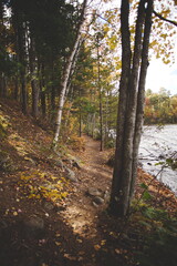 Obraz premium Bon Echo Provincial Park in Ontario, Canada. A spectacular landmark in North America alongside Mazinaw Lake. Autumn leaves and fall colors late in the season making for a beautiful landscape.