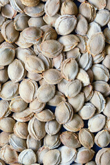 Dry apricot stones, background