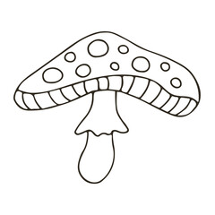 Autumn. Monochrome illustration in hand drawn style