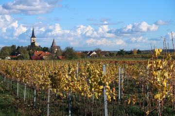 Fototapeta na wymiar Ansicht von Pulkau mit Weingarten, Niederösterreich