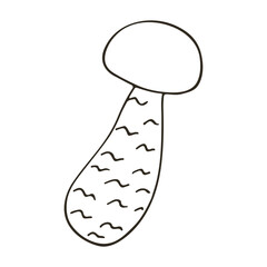 Autumn. Monochrome illustration in hand drawn style