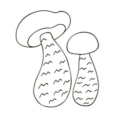 Autumn. Monochrome illustration in hand drawn style