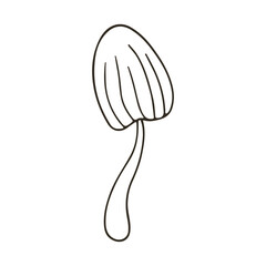 Autumn. Monochrome illustration in hand drawn style