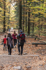 Obraz premium Tourist trail in the Jodłowa Primeval Forest, from Saint Catherine to Lysica, partly built as a boarded walkway