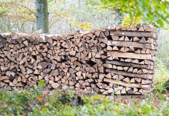 Selbstversorger - Holzscheite lagern gestapelt im Wald	
